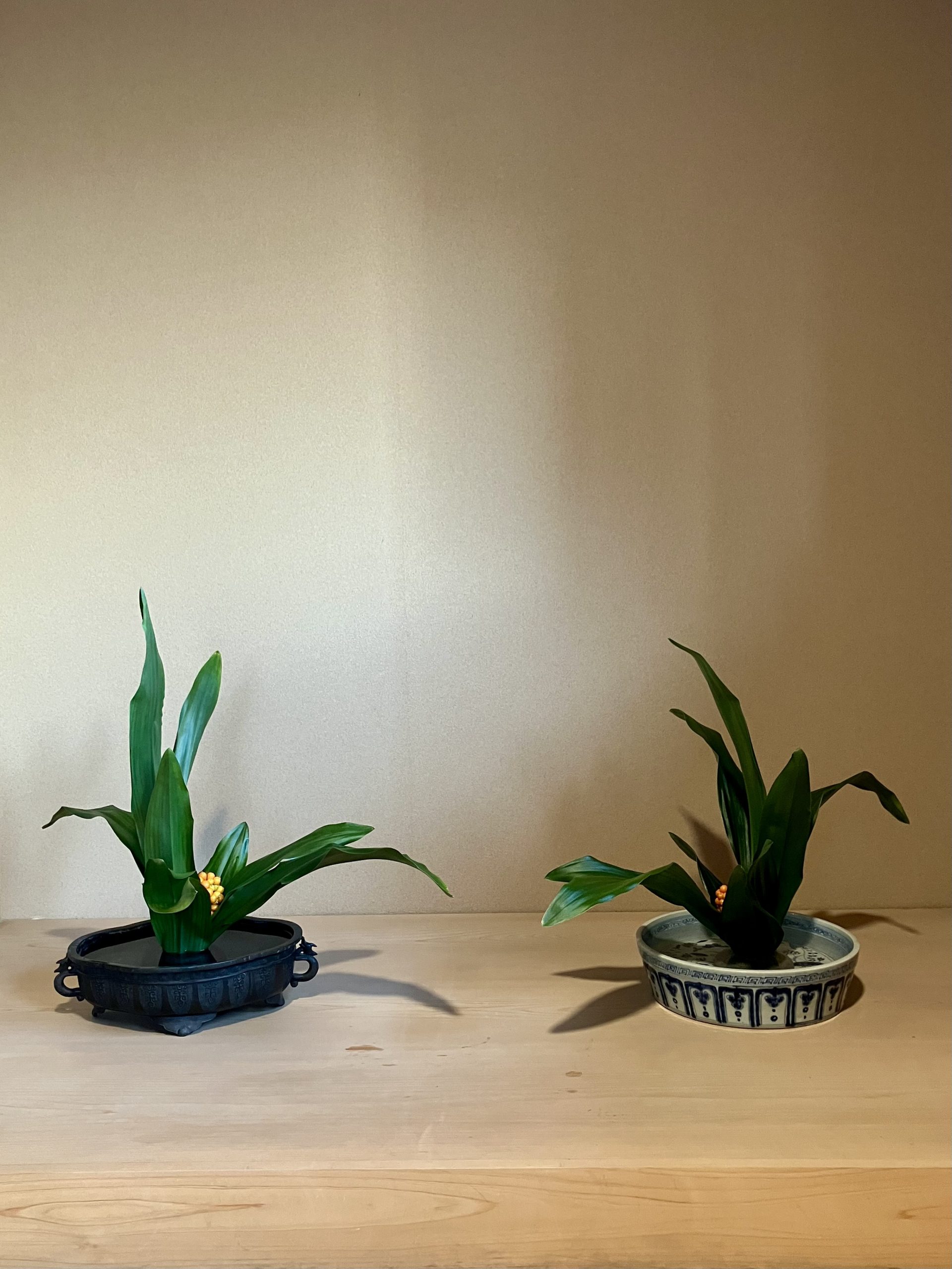 恒例　冬のお稽古