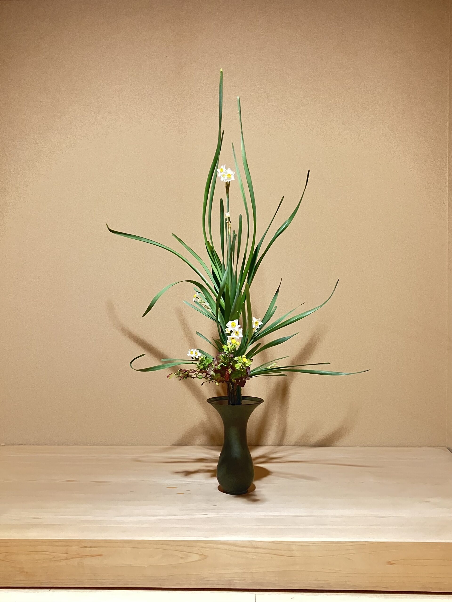 いよいよ水仙の季節です