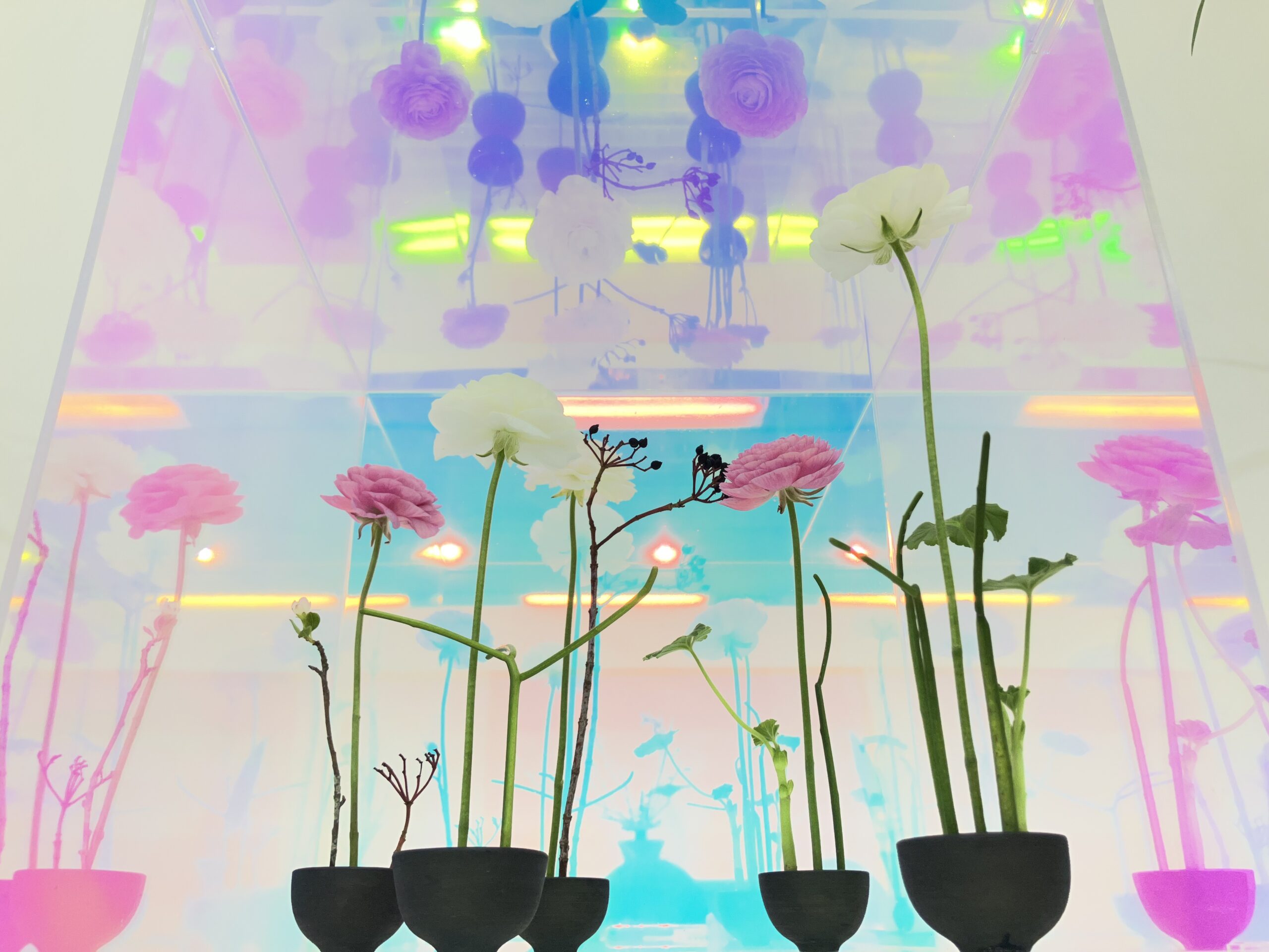 春のいけばな展2026 中研祭