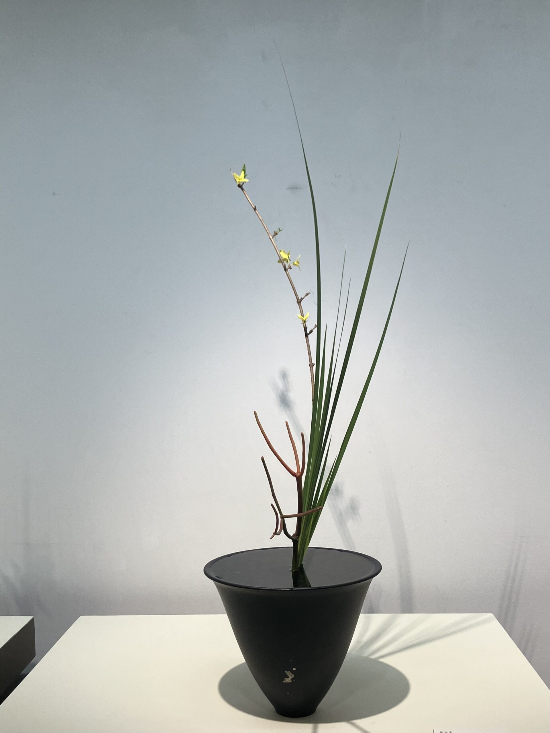 第９３回東京連合花展　